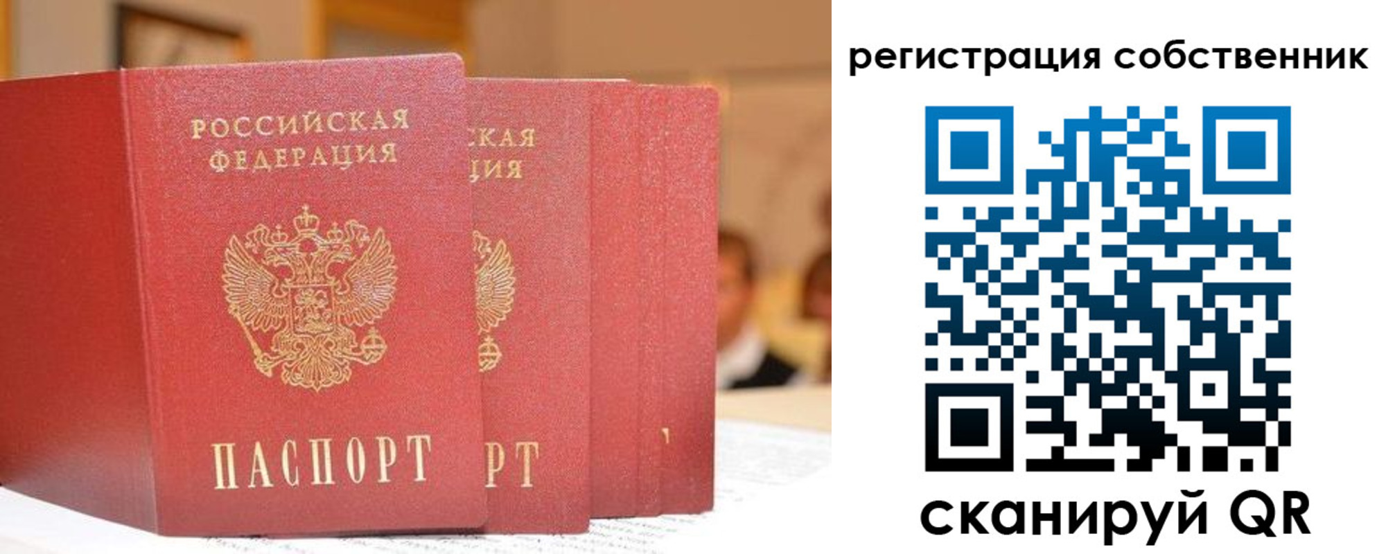 пропишу в квартире в Палласовке