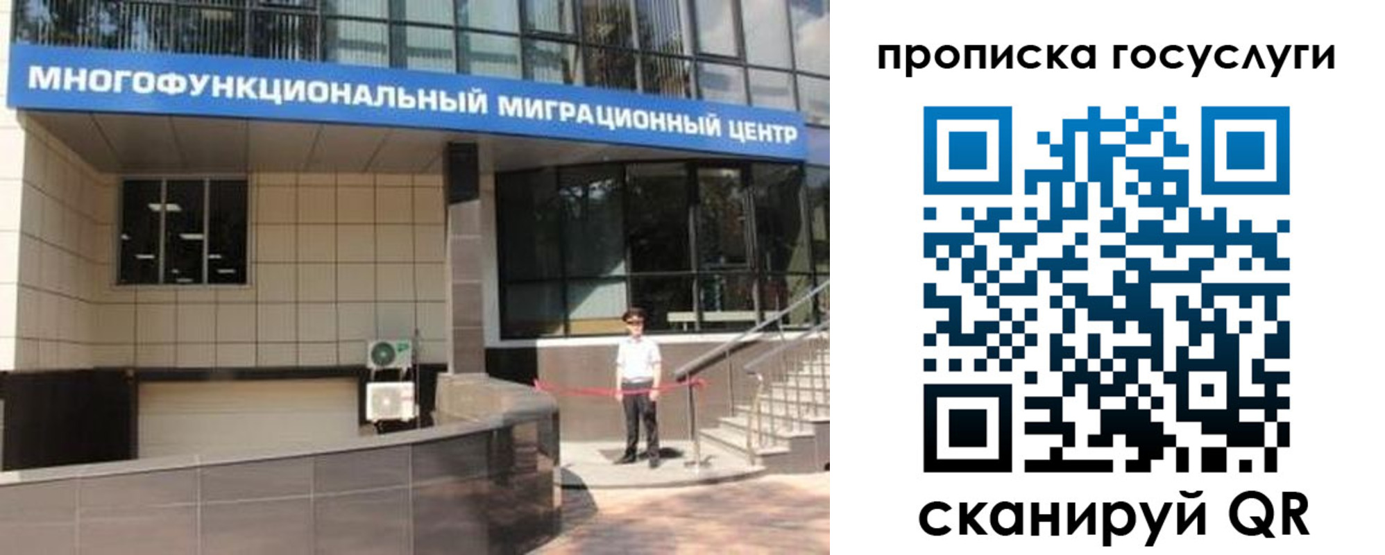 временная регистрация 2025 в Палласовке